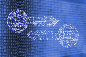 Bitcoin e a Batalha pelo Controle da Informação