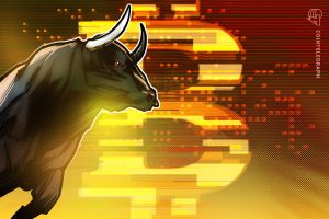 mercado alta bitcoin - Mercado Alta Bitcoin: O Que Esperar nas Próximas