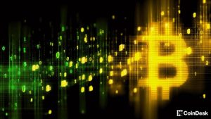 debate filosofico bitcoin - Debate Filosófico Bitcoin: Governança e Desafios Atuais