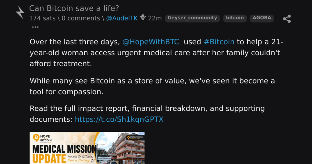 pode bitcoin salvar - Pode Bitcoin Salvar Vidas em Crises Econômicas?