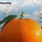 Bitcoin Satsuma Technology: Venda de Bitcoins e Saída da Bolsa de Valores