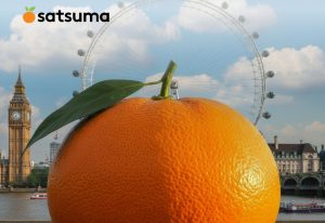 bitcoin satsuma technology - Bitcoin Satsuma Technology: Venda de Bitcoins e Saída