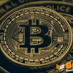 Bitcoin Programa Freedom: Parceria com Bitcoin Policy Institute e Palantir