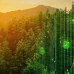 Bitcoin Iniciativa Regulatória: Desenvolvimento no Mercado de Capitais