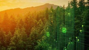 bitcoin iniciativa regulatoria - Bitcoin Iniciativa Regulatória: Desenvolvimento no Mercado de Capitais