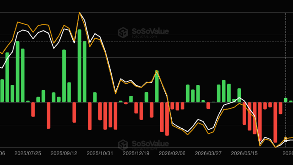 etfs bitcoin mostram - ETFs Bitcoin Mostram Resiliência com Fluxo Positivo em
