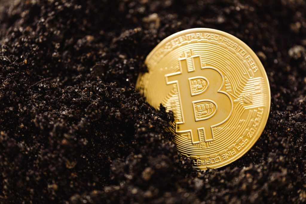 fundador mineradora bitcoin - Fundador Mineradora Bitcoin: Detenção na Rússia por Suspeita