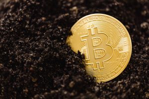 fundador mineradora bitcoin - Fundador Mineradora Bitcoin: Detenção na Rússia por Suspeita