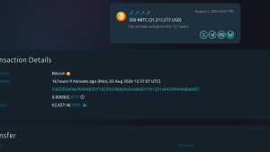 carteira bitcoin ativa - Carteira Bitcoin Ativa Realiza Transação Milionária Após 12