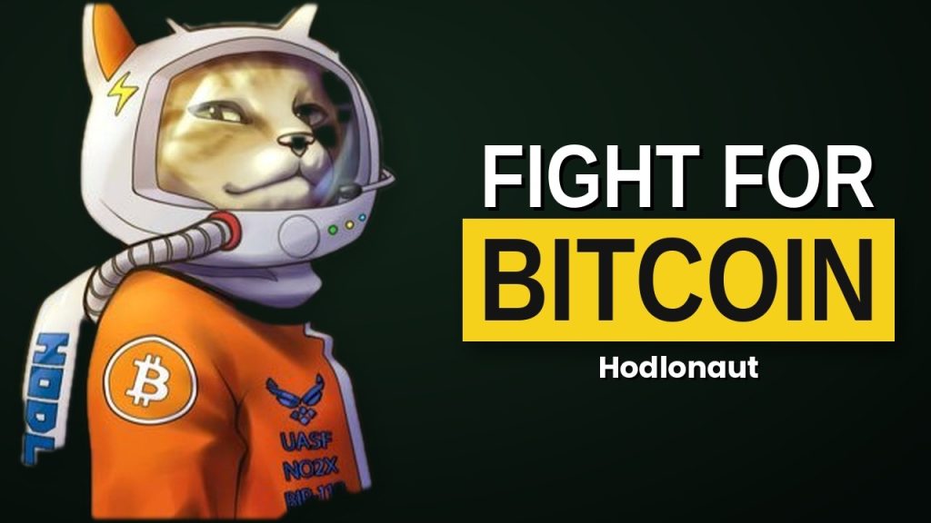 bitcoin entrevista hodlonaut - Bitcoin Entrevista Hodlonaut: Perspectivas na Adoção de Bitcoin