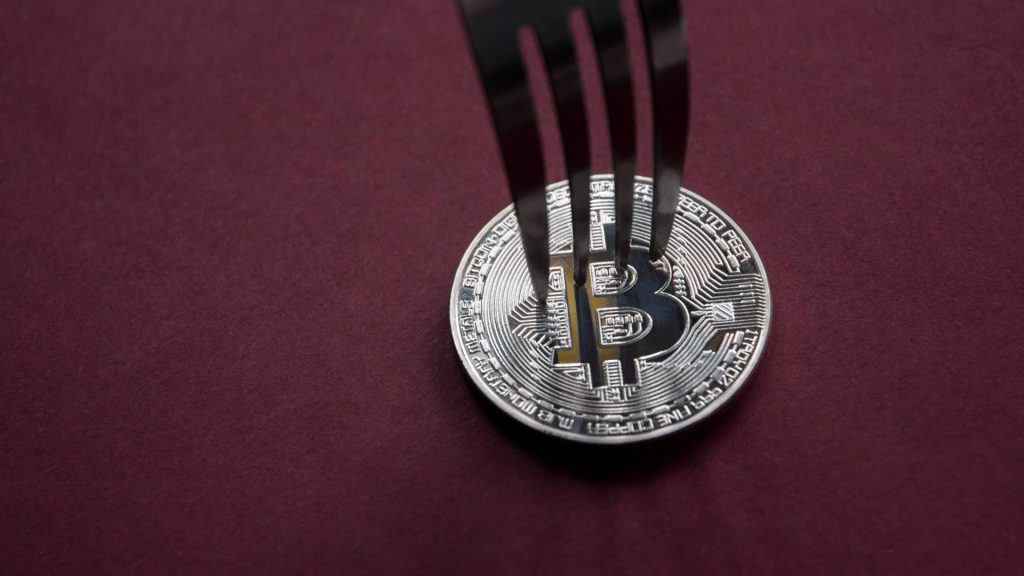 risco perda bitcoin - Risco de Perda de Bitcoin: Como Investidores Podem