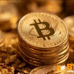 Bitcoin Edelman Financial: Revelações Importantes sobre Investimentos