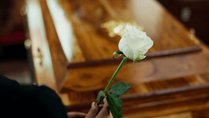 bitcoin declarado morto - Bitcoin Declarado Morto: Realidade ou Exagero em 2026?