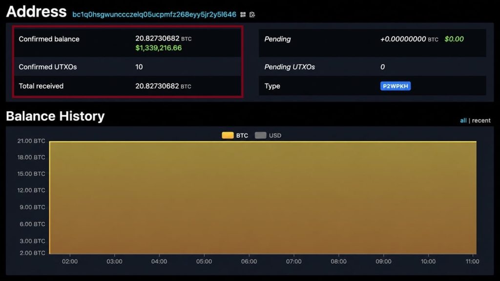 bitcoin falha protocolo - Bitcoin Falha Protocolo: Impactos e Medidas de Segurança