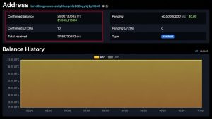 bitcoin falha protocolo - Bitcoin Falha Protocolo: Impactos e Medidas de Segurança