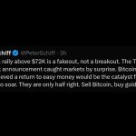 Bitcoin Peter Schiff: Crítica à Subida e Defesa do Ouro