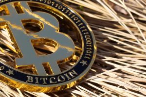bitcoin ray dalio - Bitcoin Ray Dalio: Proteção em Meio à Crise
