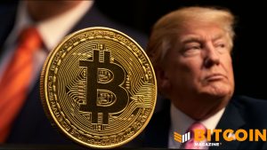 bitcoin poderia prosperar - Bitcoin Poderia Prosperar Sob Administração Democrata, Afirma VanEck