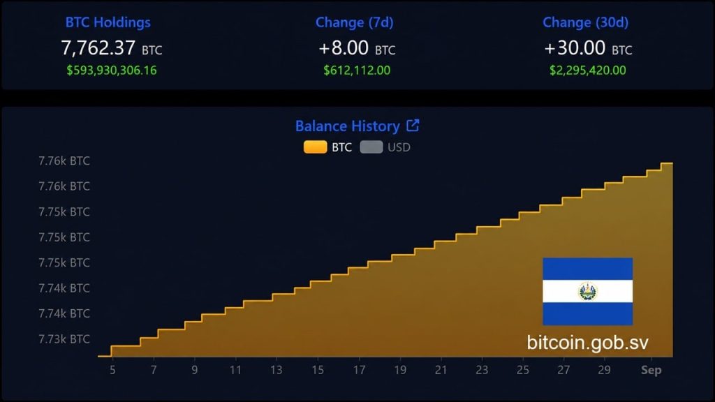 reserva bitcoin salvador - Reserva de Bitcoin de El Salvador Atinge 7.762