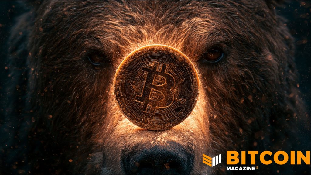 mercado urso bitcoin - Mercado Urso Bitcoin: Fidelity Alerta que Pode Não