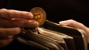bitcoin falhas carteiras - Bitcoin Falhas Carteiras: Desafios e Impactos no Mercado