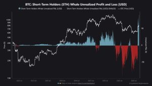 lucros baleias bitcoin - Lucros de Baleias de Bitcoin: Pressão no Piso