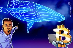 bitcoin lucros nao - Bitcoin Lucros Não Realizados Aumentam Risco de Vendas