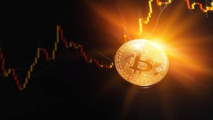 bitcoin oranjebtc recompra - Bitcoin OranjeBTC Recompra Ações e Fortalece Saldo de